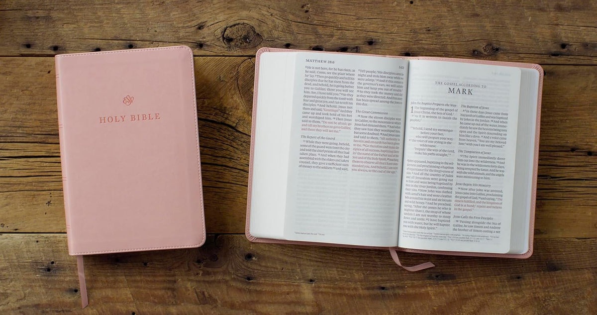 ESV Giant Print Personal Size Bible--soft leather-look, blush rose
