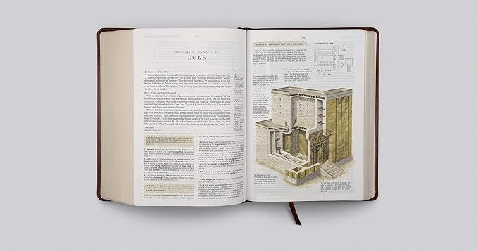 ESV Study Bible (Trutone, Chestnut) by ,Crossway