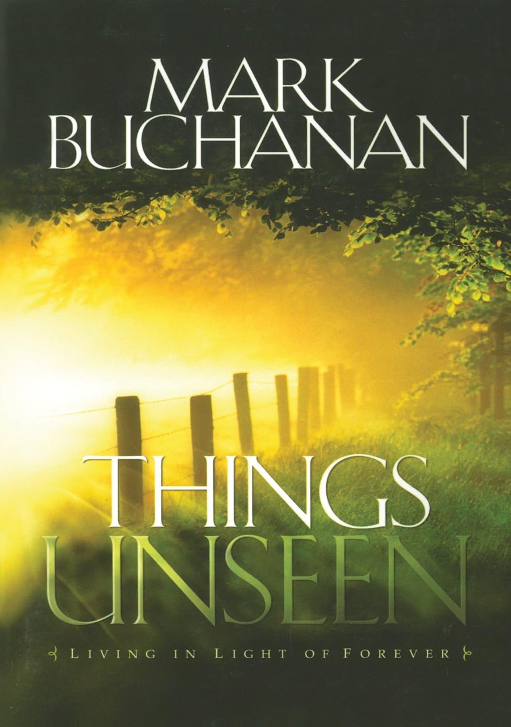 Things Unseen by Mark Buchanan image 0