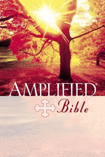Amplified Bible, Hardcover image 0