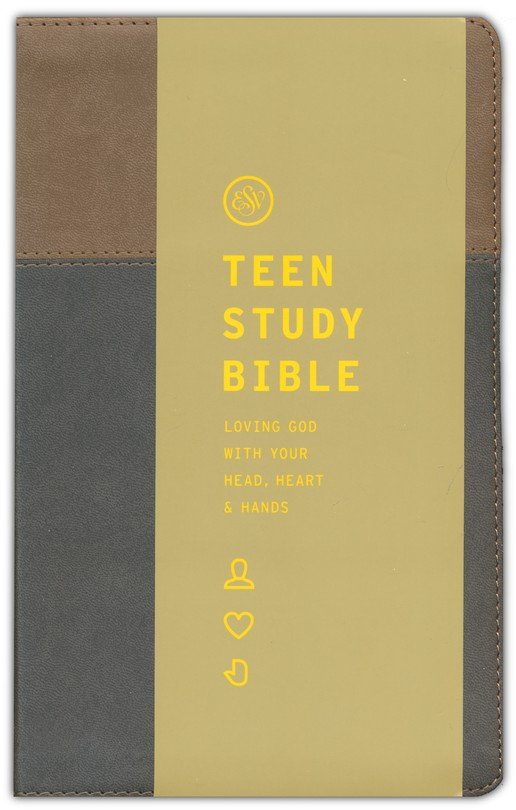 ESV Teen Study Bible (TruTone, Slate/Umber)