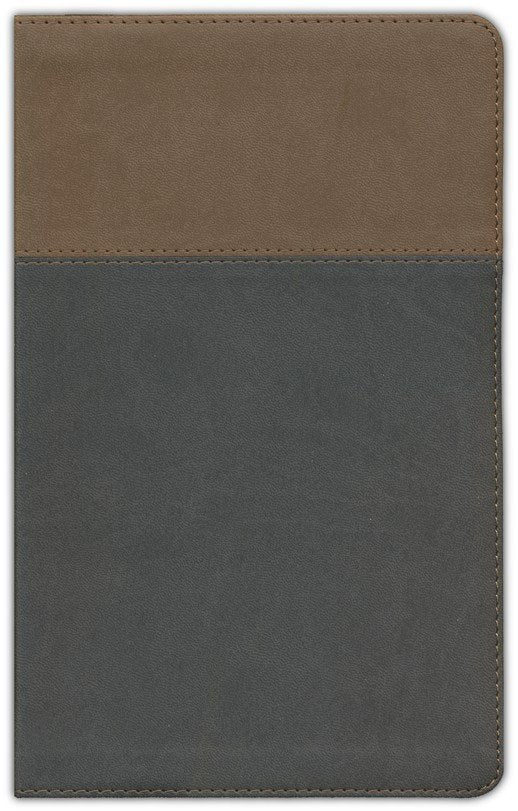 ESV Teen Study Bible (TruTone, Slate/Umber)