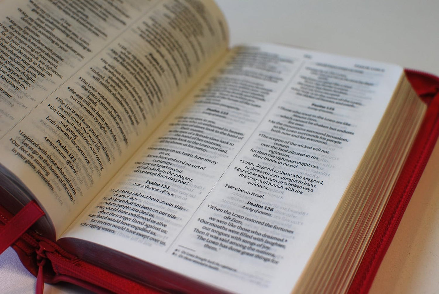 NIV Holy Bible, Pink Gift Edition with Zip