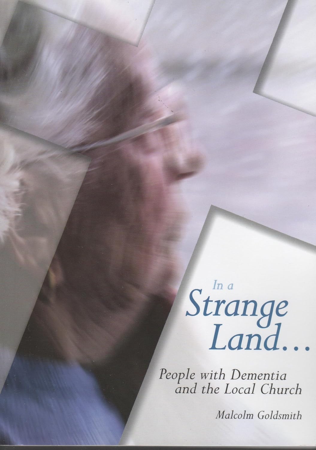 In a Strange Land by Malcolm Goldsmith image 0