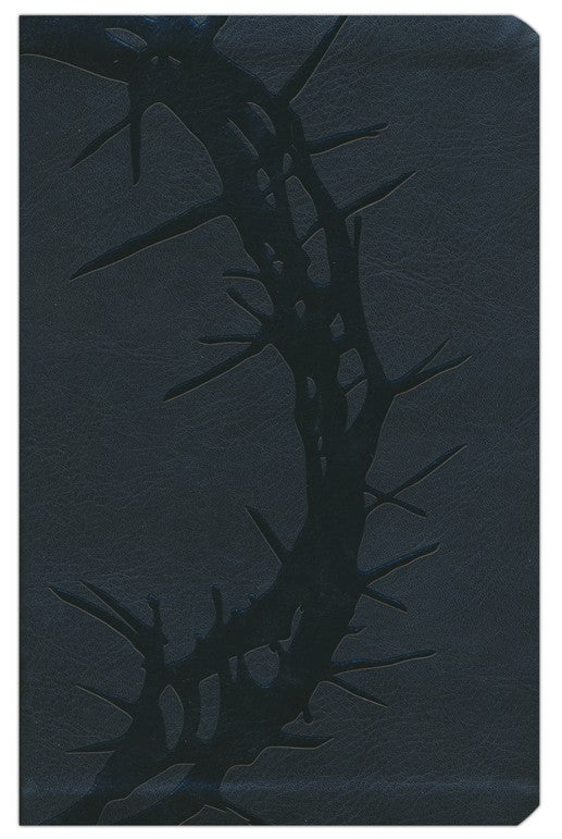 KJV Large Print Personal Size Reference Bible, Charcoal Leathertouch Imitation Leather, Indexed