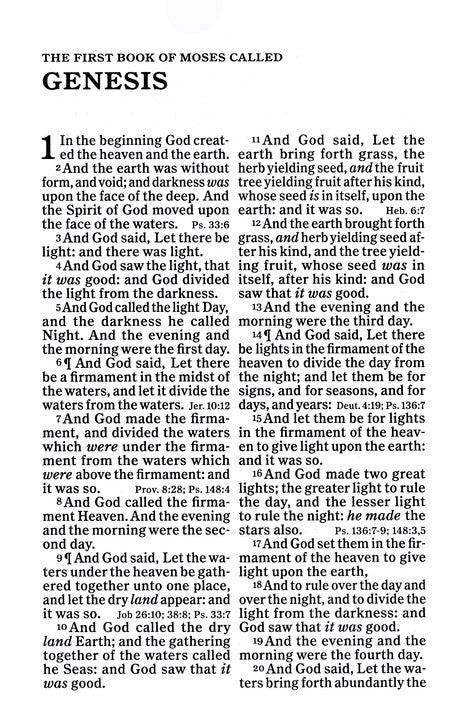 KJV Large Print Personal Size Reference Bible, Charcoal Leathertouch Imitation Leather, Indexed