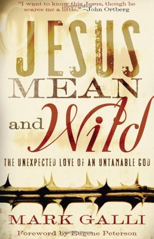 Jesus Mean and Wild by Mark Galli image 0