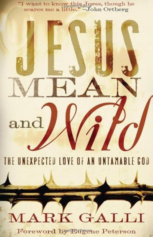 Jesus Mean and Wild by Mark Galli image 0