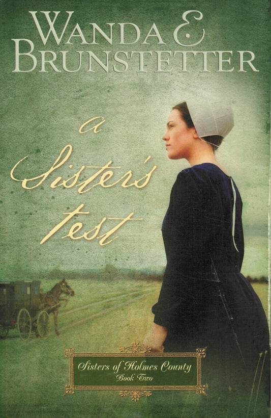 A Sister's Test (Sisters of Holmes County #2) by Wanda E. Brunstetter image 0