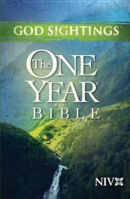 NIV God Sightings: One Year Bible image 0