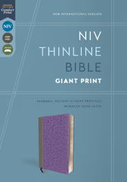 NIV Thinline Bible Red Letter Edition, Giant Print, Purple