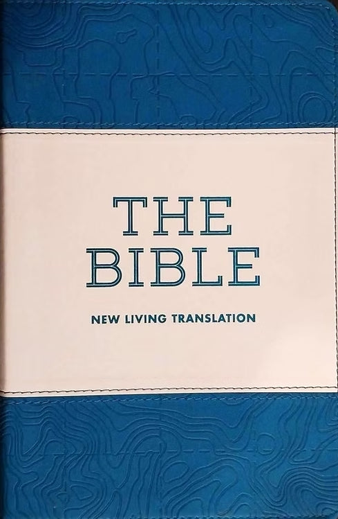 NLT Bible Blue And White Vinyl