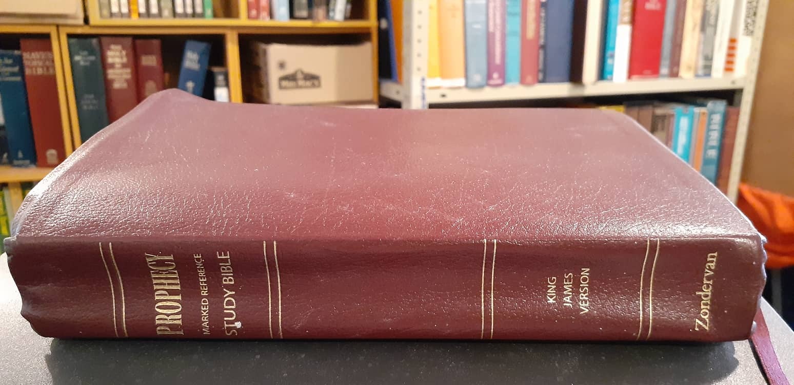 KJV Prophecy Marked Reference Study Bible image 0