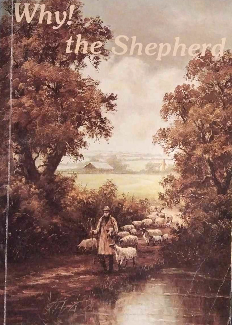 Why! The Shepherd by Walter Godfrey Bowen image 0
