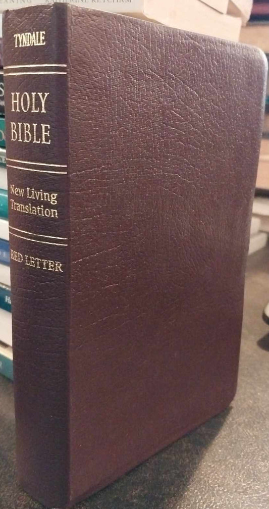 NLT Holy Bible, Compact Size, Burgundy image 0