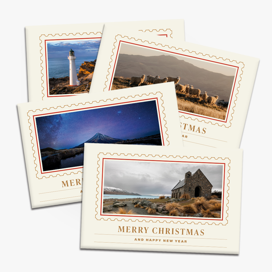 Christmas Cards New Zealand design 12pk