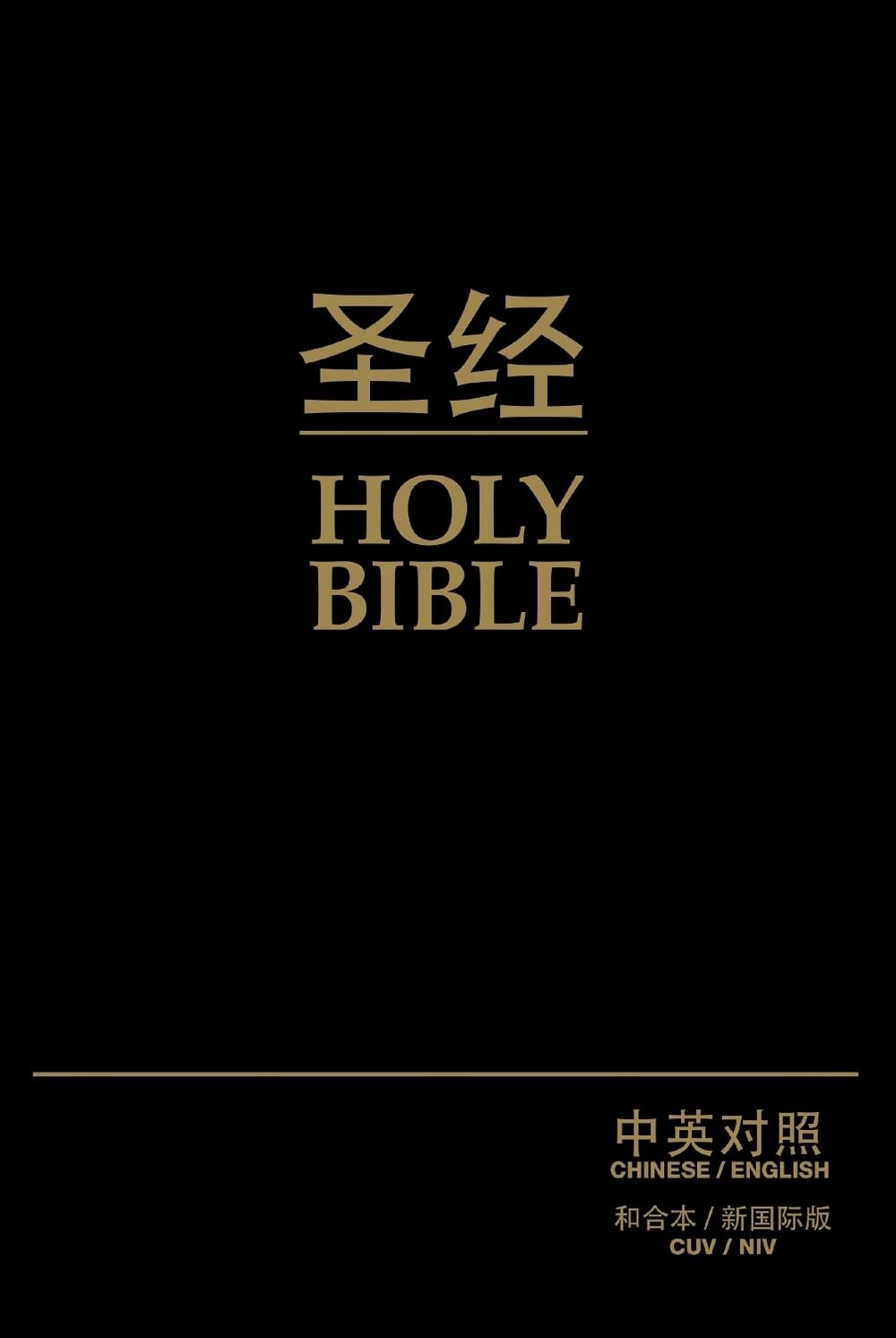 Black cover of a Bible with gold text displaying 'Holy Bible' in both Chinese and English.