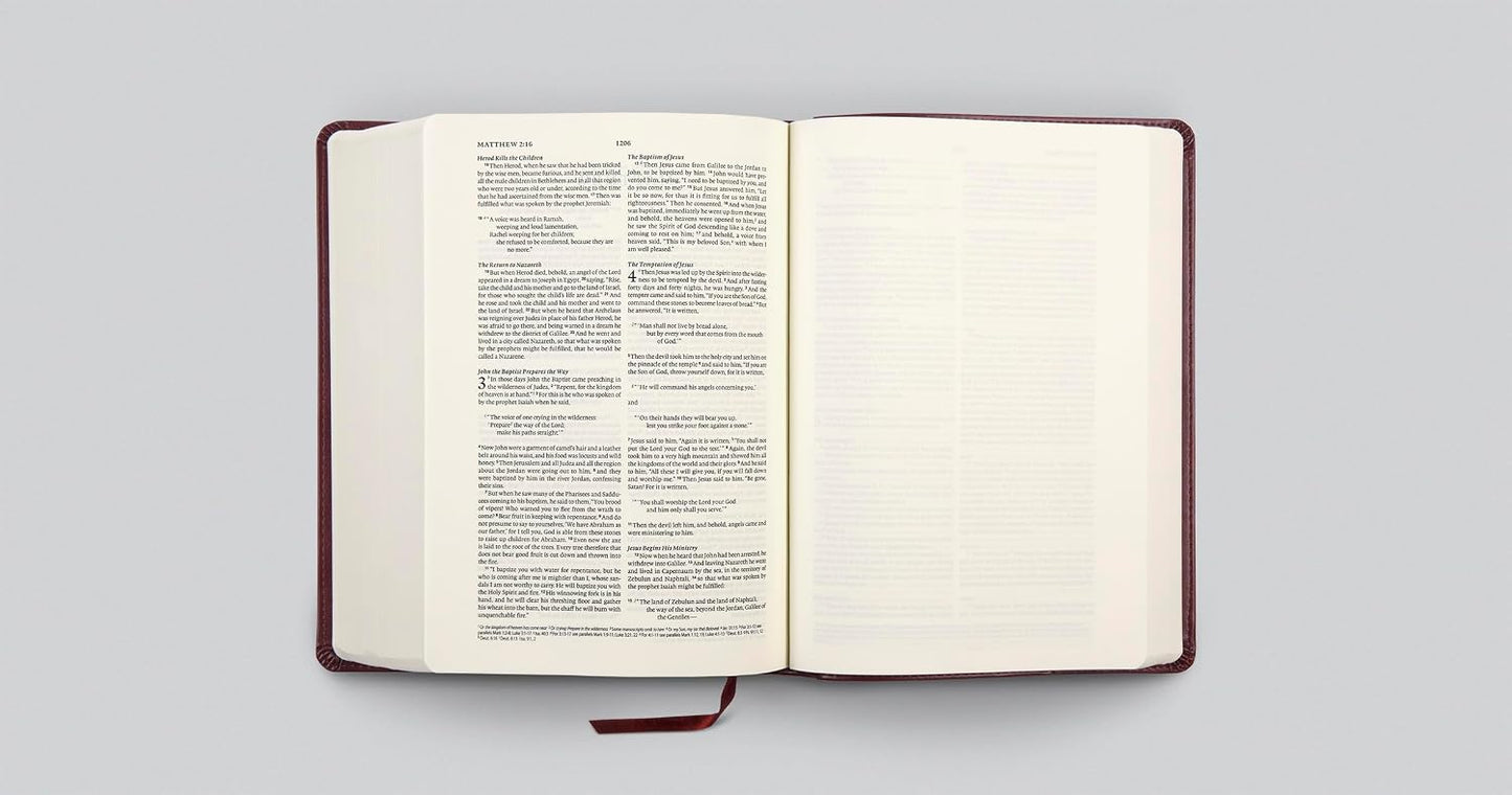 ESV Journaling Bible, Interleaved Edition