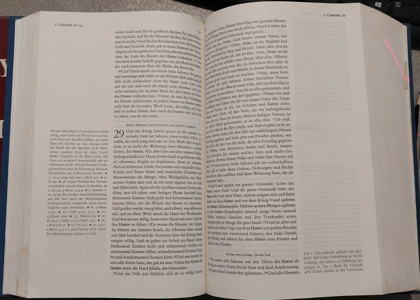 Lutherbibel Erklart (Luther's Bible in German)