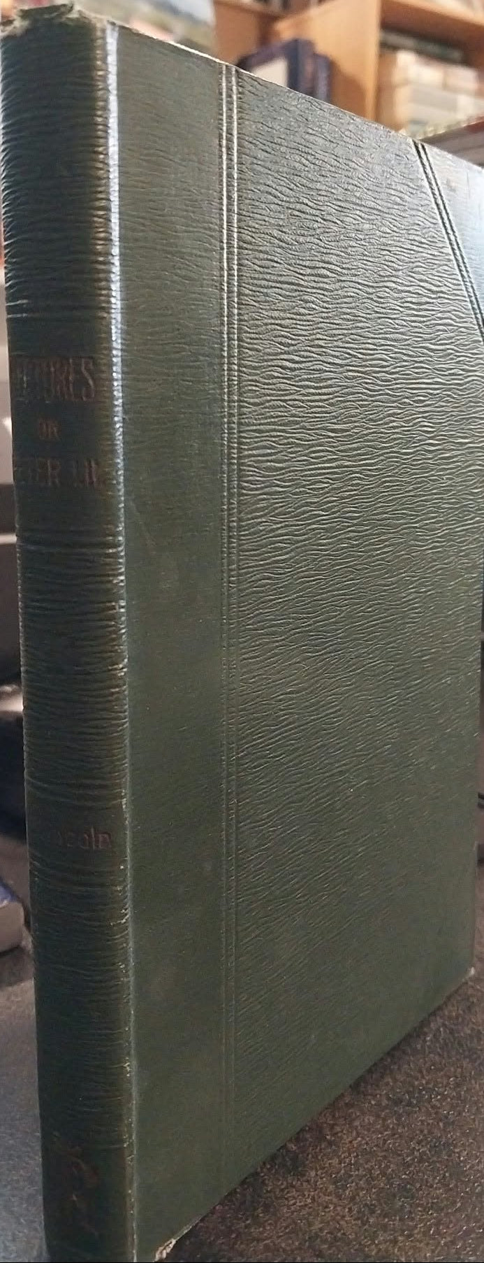 Lectures on the First and Second Epistles of Peter by William Lincoln