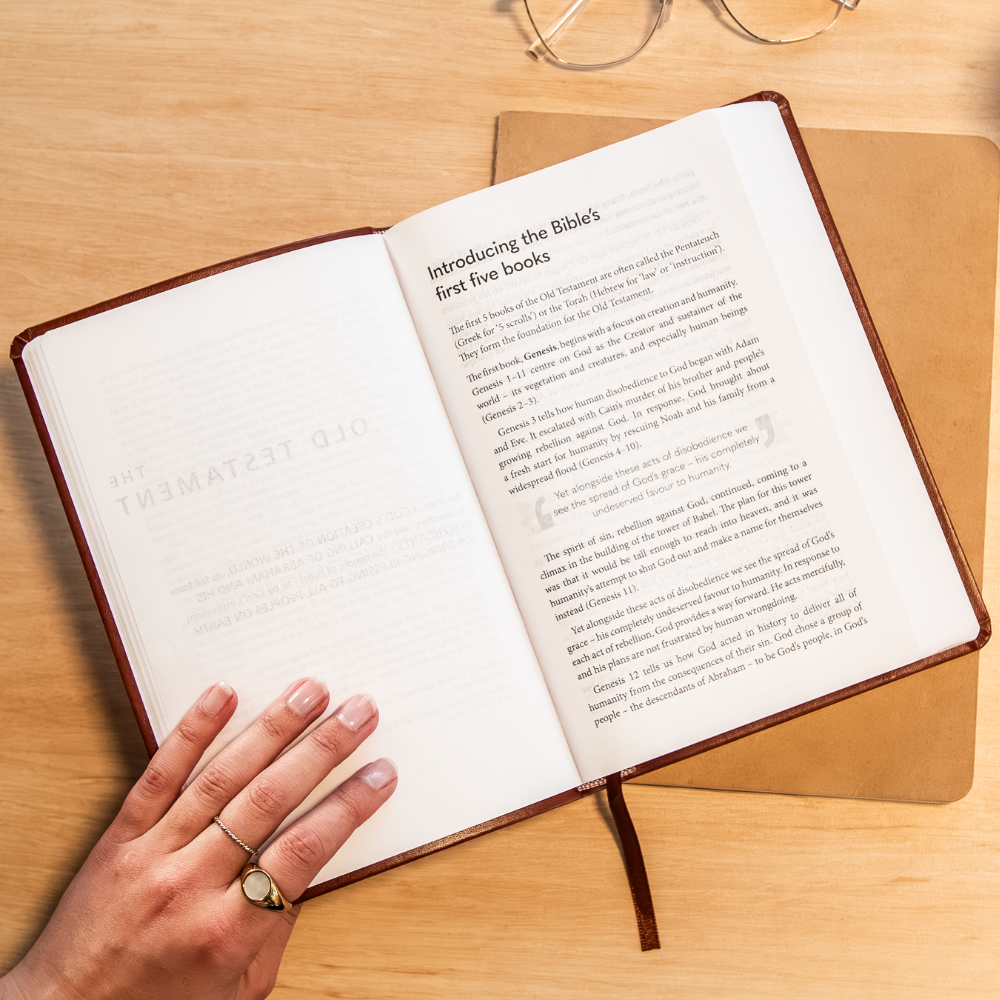 NIV New Beginnings Bible - For New Christians