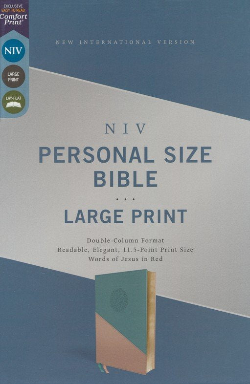 NIV Personal Size Bible with large print on a blue and gray background