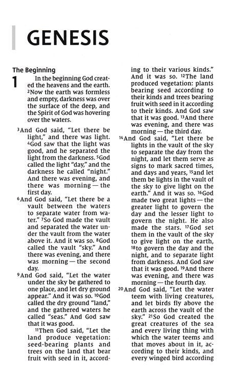 NIV Personal Size Bible, Large Print, Leathersoft