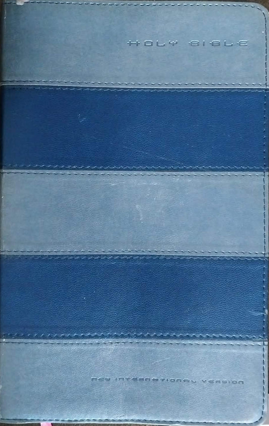 NIV Holy Bible, Blue Softcover, Thumb Indexed