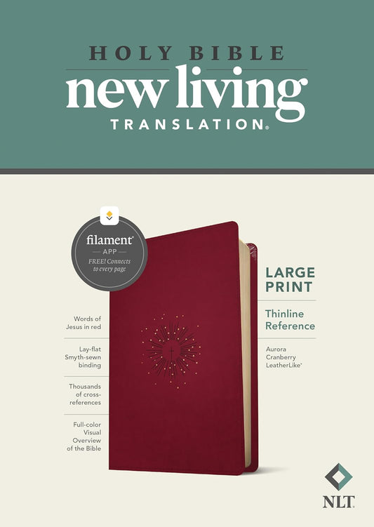 Red Bible with 'New Living Translation' label on a white background