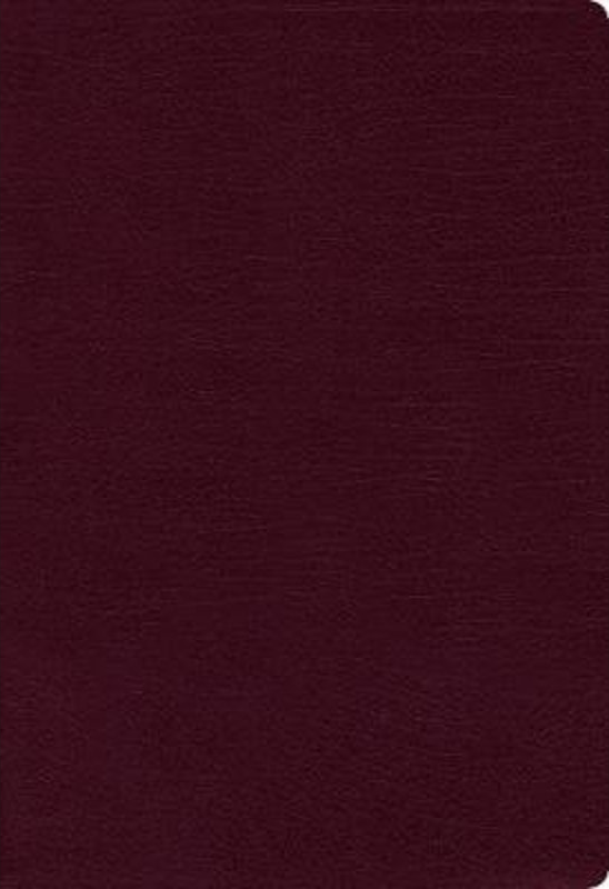 NIV Thinline Bible Burgundy, Bonded Leather, Indexed