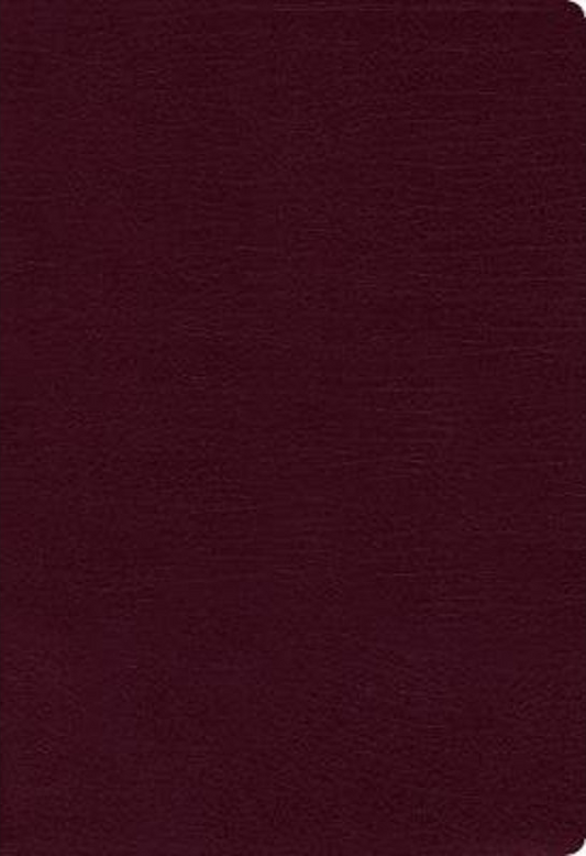 NIV Thinline Bible Burgundy, Bonded Leather, Indexed