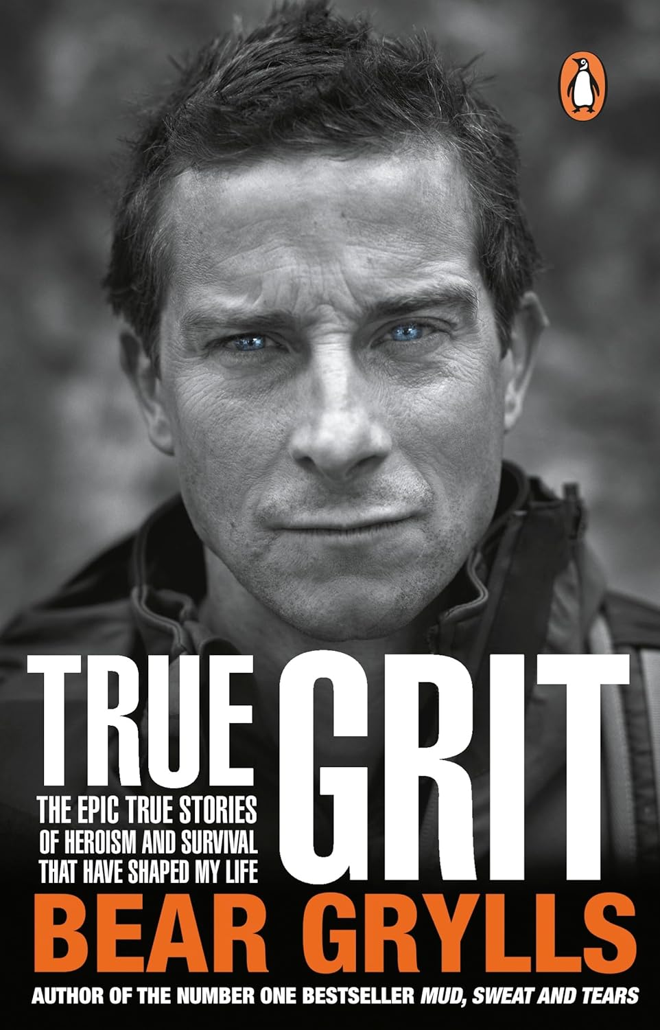 True Grit by Bear Grylls image 0
