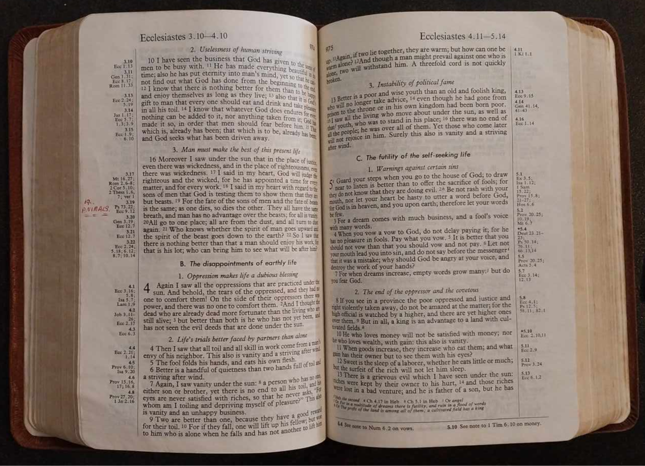 RSV Harper Study Bible, Brown Leather image 1