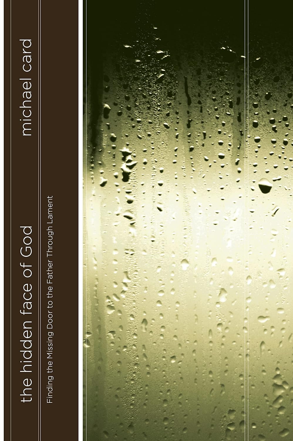Hidden Face of God by Michael Card image 0
