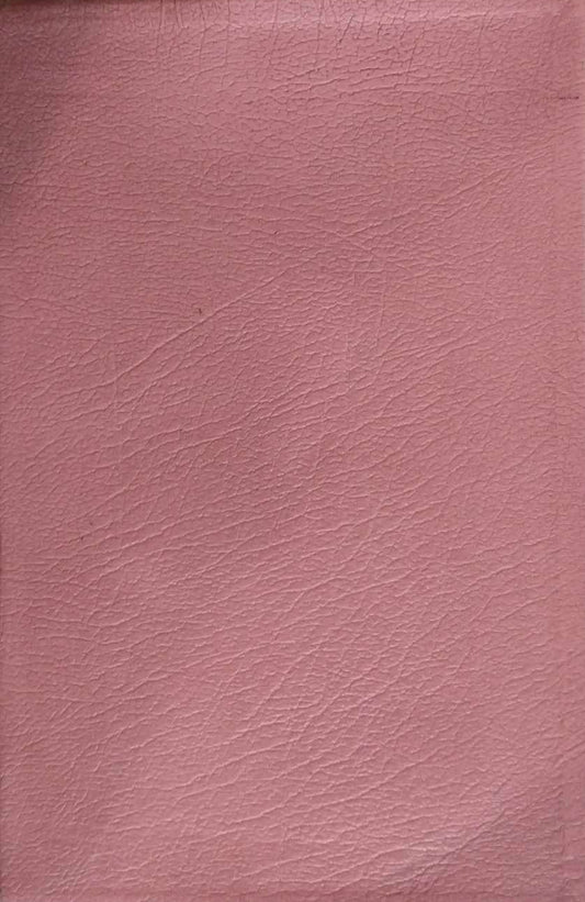 NASB New Open Bible Study Edition, with Thumb Index image 0