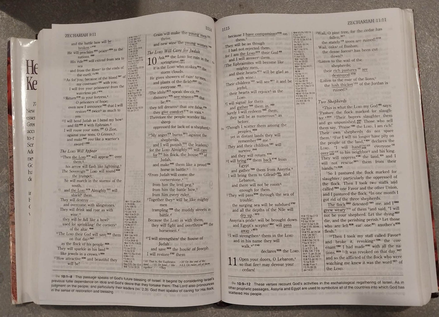 NIV Hebrew-Greek Key Study Bible image 1