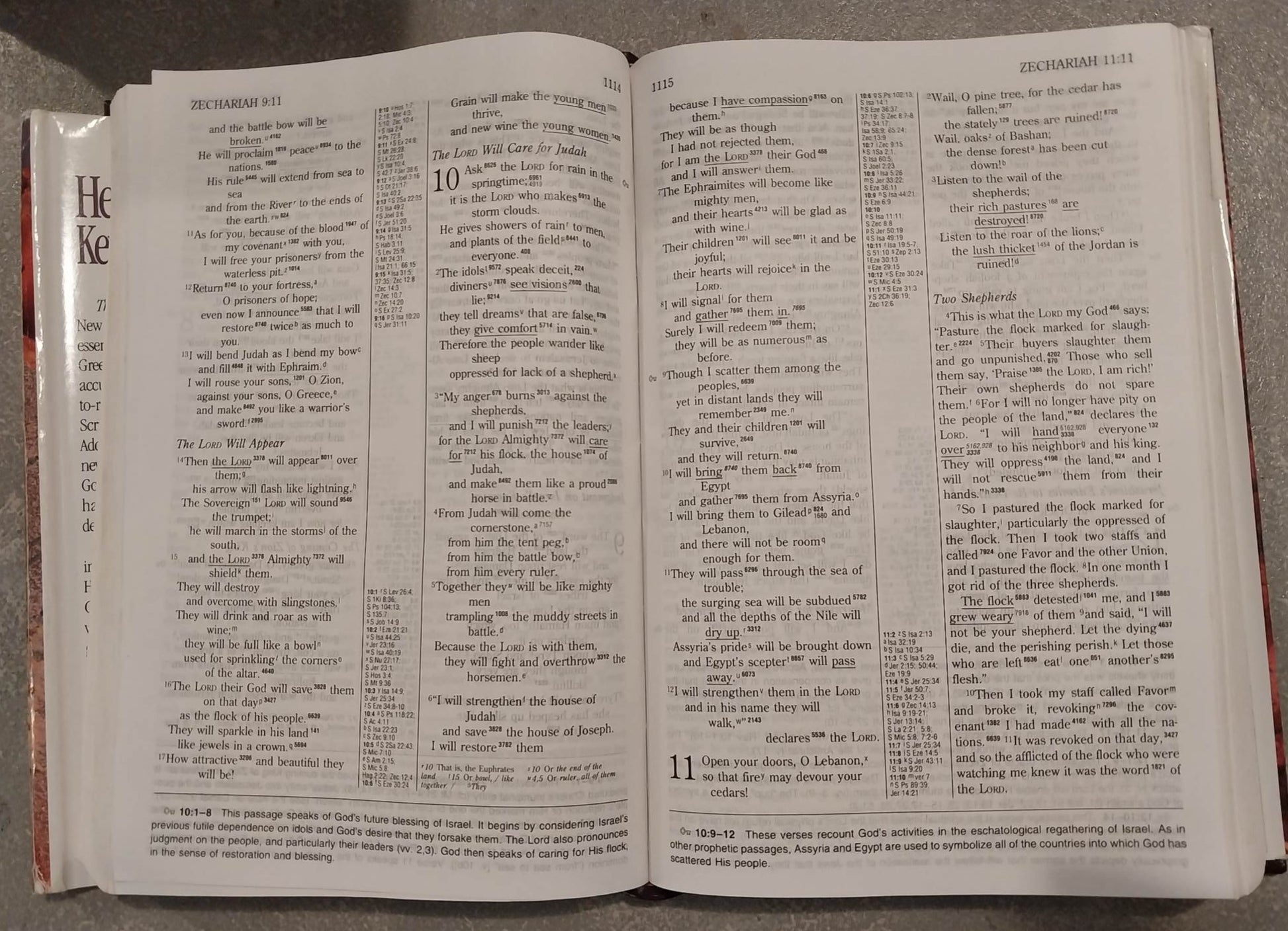 NIV Hebrew-Greek Key Study Bible image 1