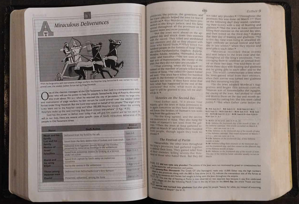 NLT Open Bible image 1