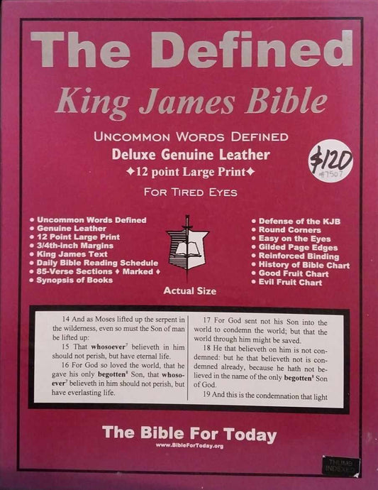 Defined King James Bible image 0