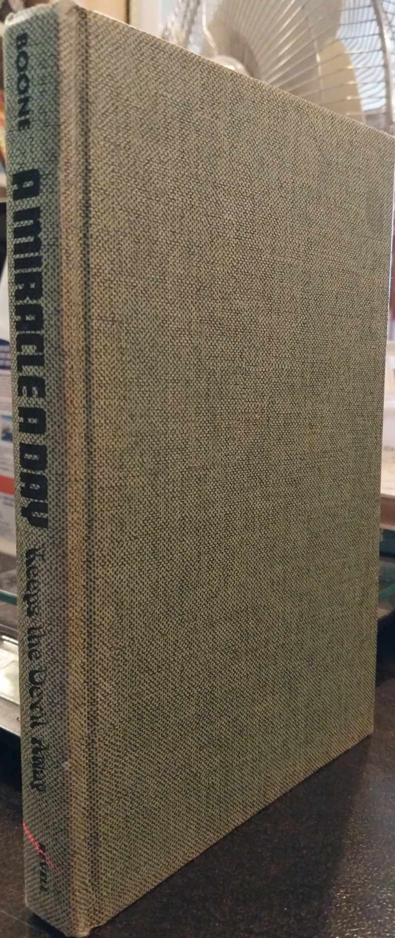 A Miracle a Day Keeps the Devil Away by Pat Boone image 0