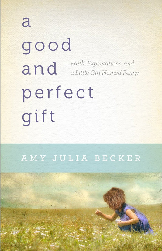 A Good and Perfect Gift by Amy Julia Becker image 0