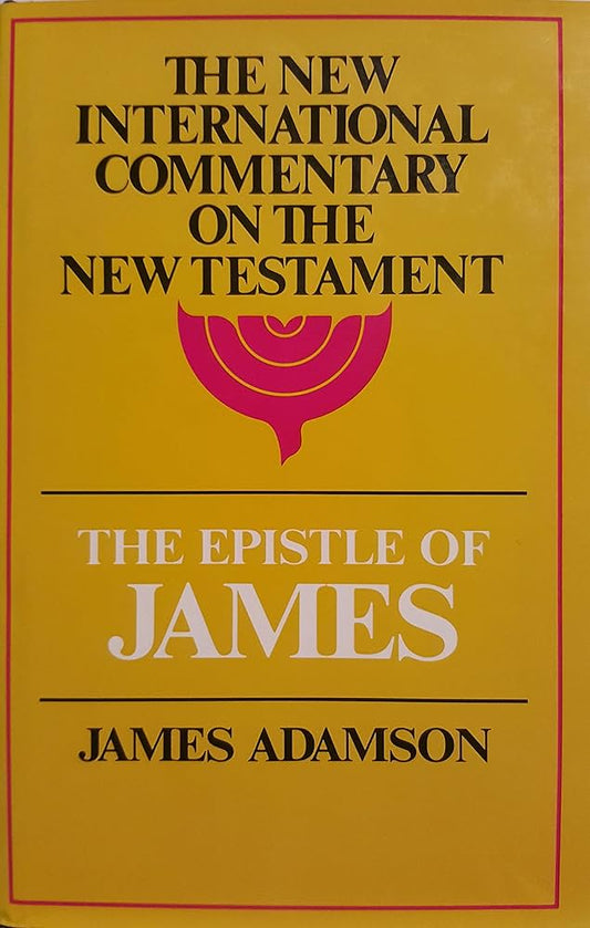 James (NICNT) by James Adamson image 0