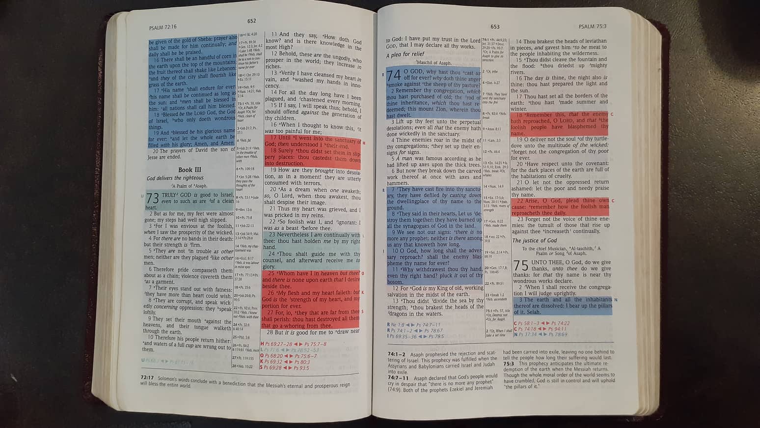 KJV Prophecy Marked Reference Study Bible image 2