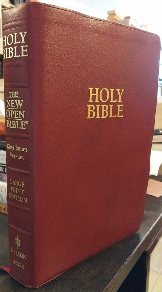 KJV New Open Bible, Large Print Edition image 0