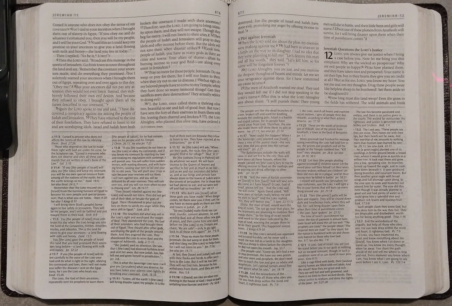 NLT Full Verse Cross Reference Bible