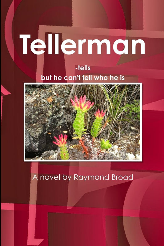 Tellerman: A Novel by Raymond Broad image 0