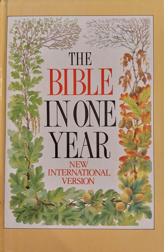 NIV Bible In One Year image 0