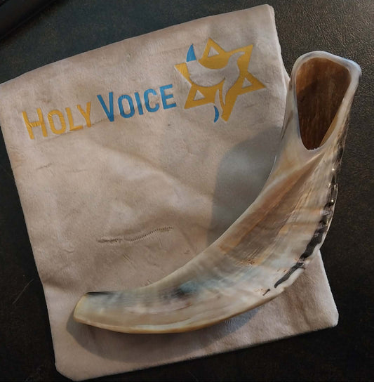 Holy Voice Small Shofar