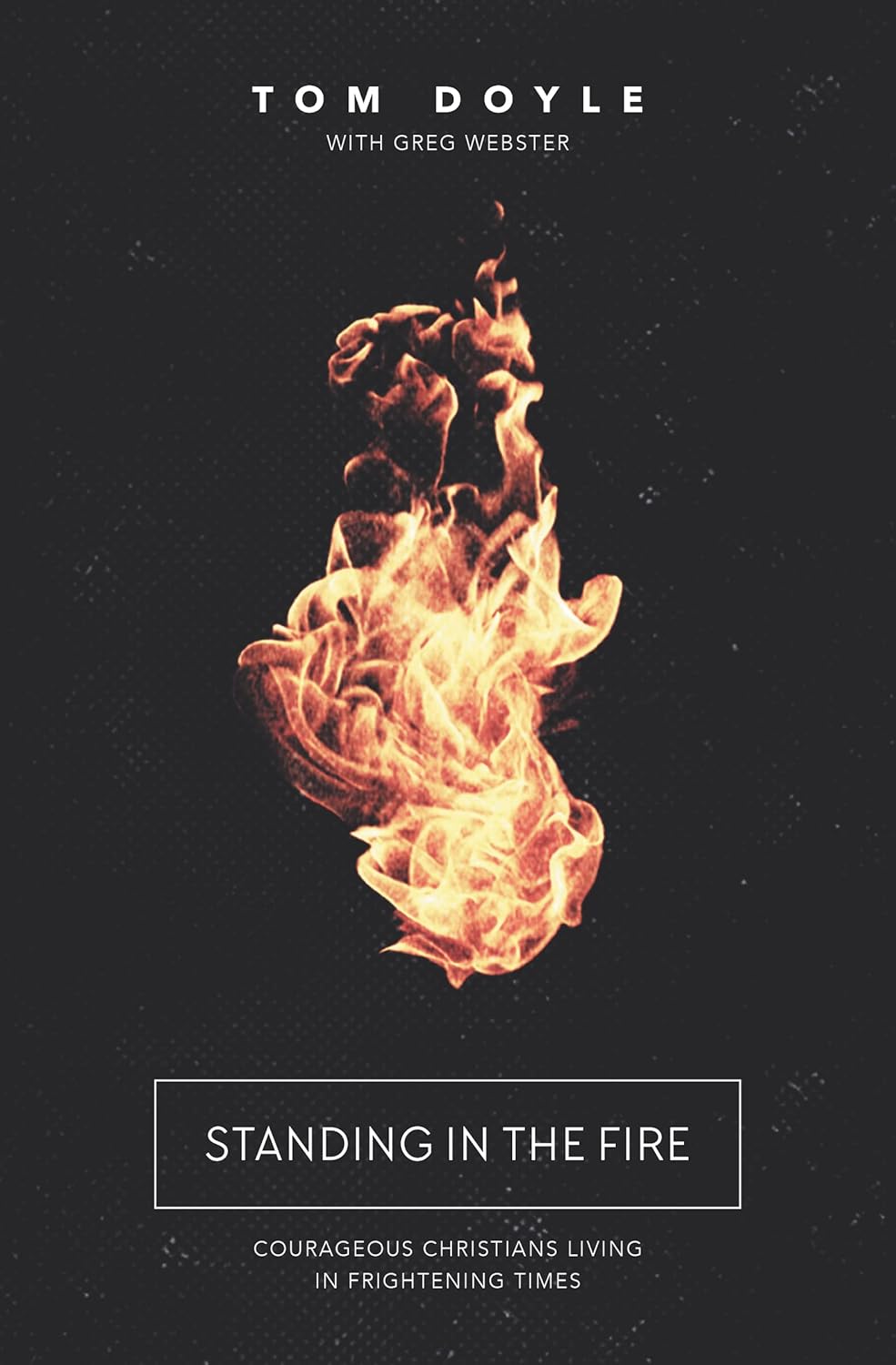Standing in the Fire by Tom Doyle image 0