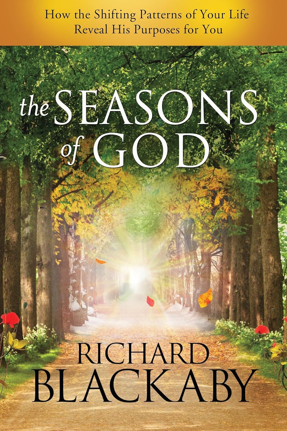 Seasons of God by Richard Blackaby image 0